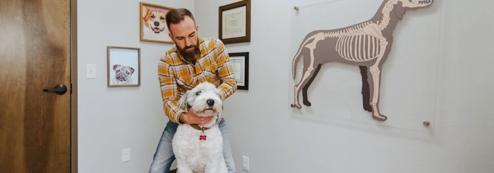 Chiropractor Fort Collins CO Steve Cook Animal Chiropractic