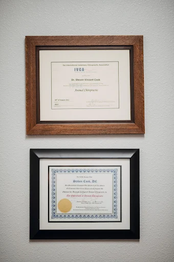 Brave Roots Chiropractic Fort Collins CO