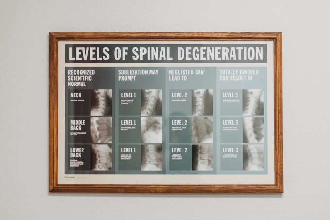 Brave Roots Chiropractic Fort Collins CO